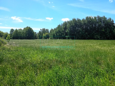 Działka budowlana Kozery