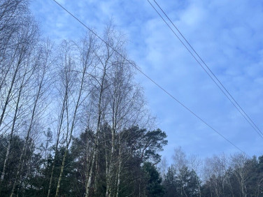 Działka przy lesie
