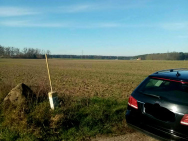 Działka Chrośnica