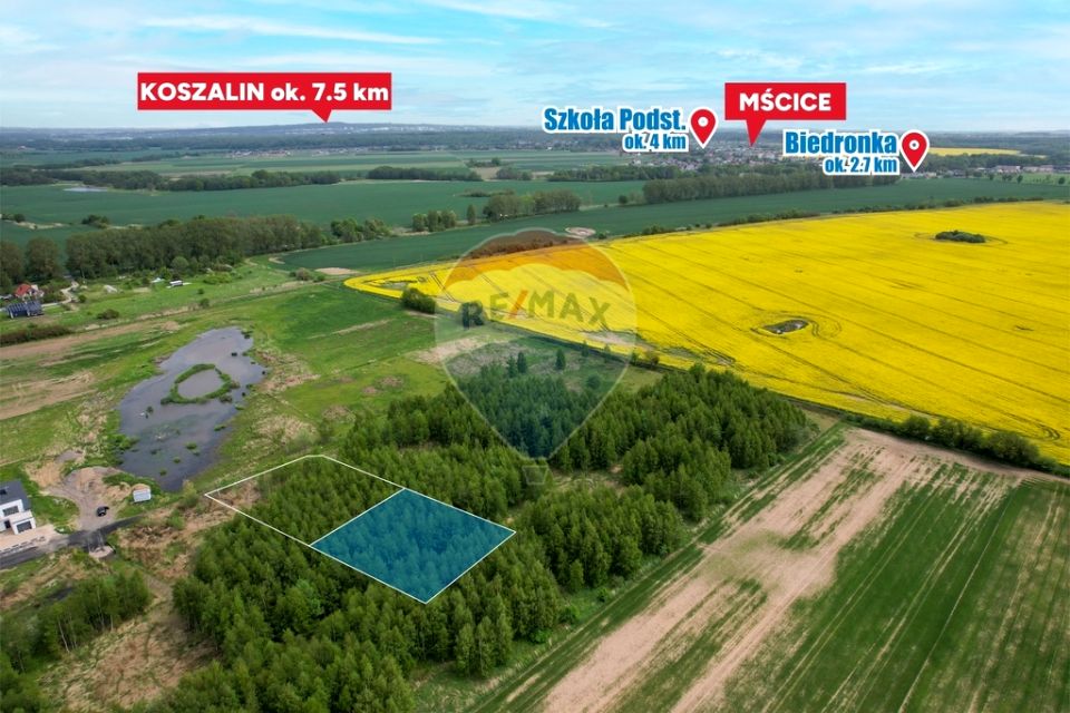 Zdjęcie 3