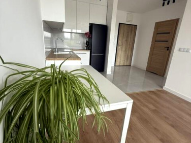Mieszkanie apartamentowiec wynajem