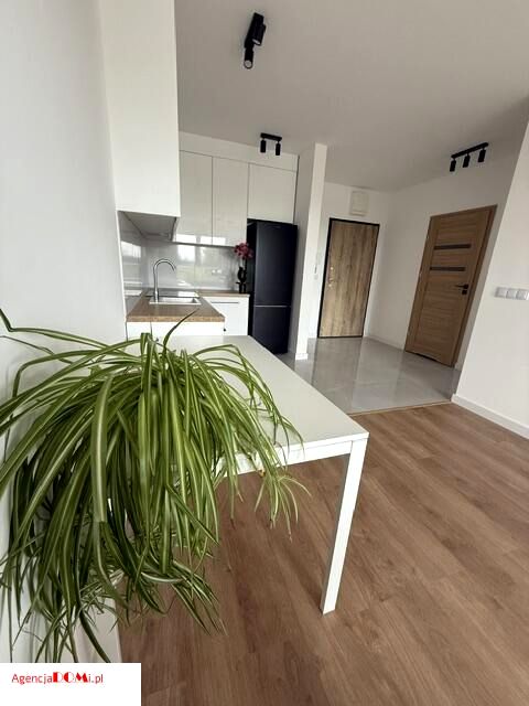 Mieszkanie apartamentowiec wynajem