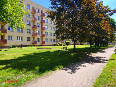 Mieszkanie Częstochowa