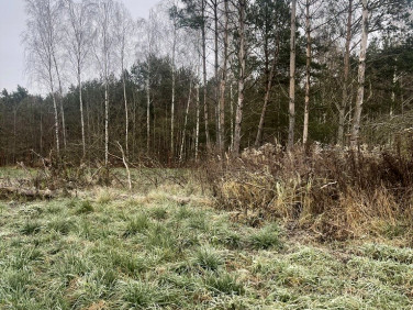 Działka budowlana Łąki
