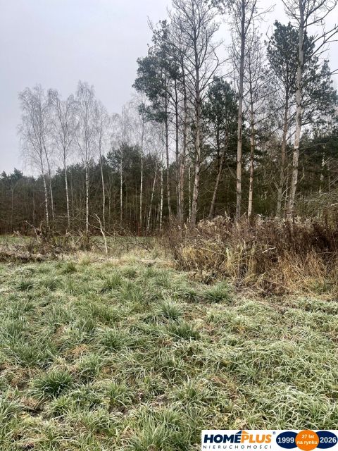 Działka budowlana Łąki