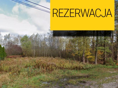 Działka SADOWA