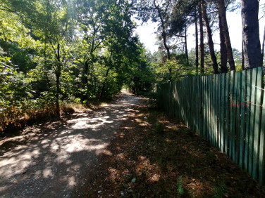 Działka Krzyżówka