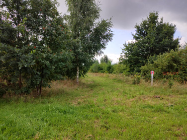 Działka rolna Stary Łajszczew