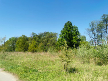 Działka budowlana Grodzisk Mazowiecki