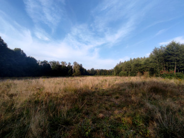Działka budowlana Benenard