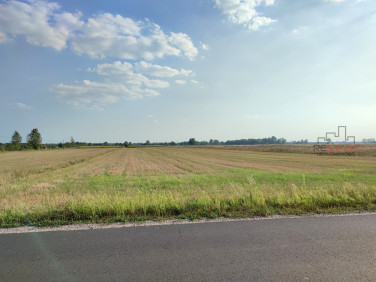 Działka Żuków