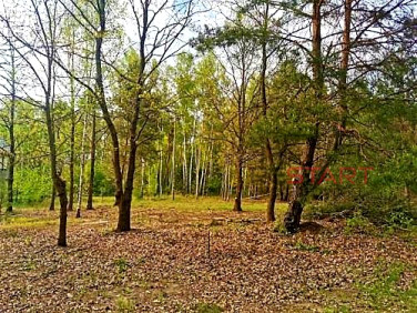Działka Książenice