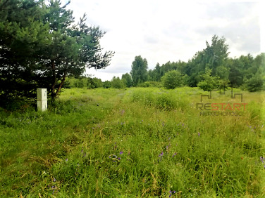 Działka Gąba