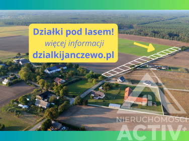 Działka przy lesie