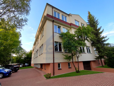 Lokal Warszawa