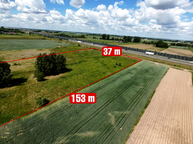 Działka przemysłowa Nowy Drzewicz