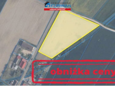 Działka Lipiny
