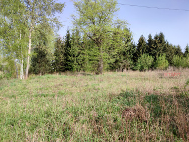 Działka Opypy