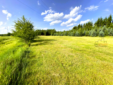 Działka Gąba