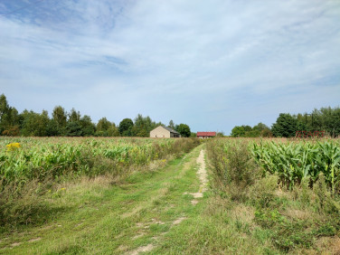 Działka Gurba