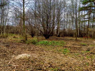Działka Adamów-Wieś