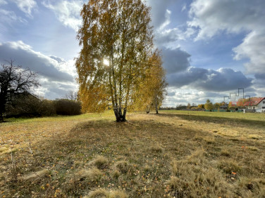 Działka Bieganów