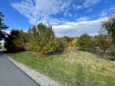 Działka Bieganów