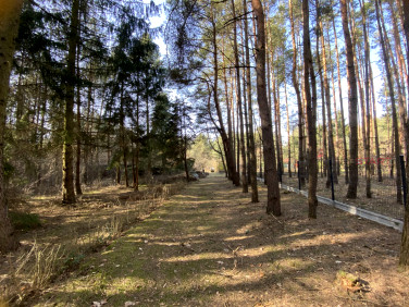 Działka Siestrzeń