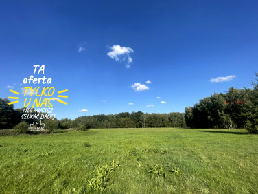 Działka Łubno