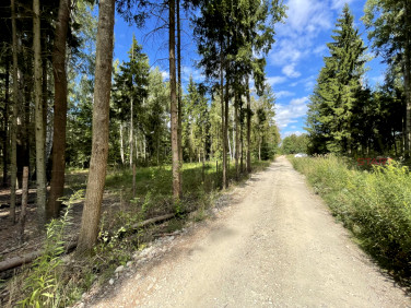 Działka Ojrzanów