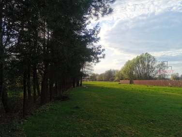 Działka Kozerki