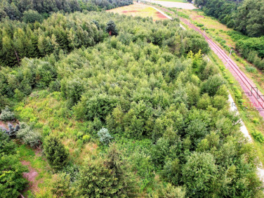 Działka Marków-Towarzystwo