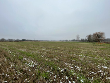 Działka Studzieniec