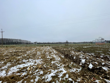 Działka Studzieniec