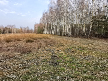 Działka Zalesie