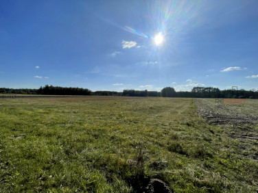 Działka Starowiskitki