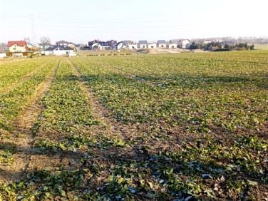 Działka Świerklany