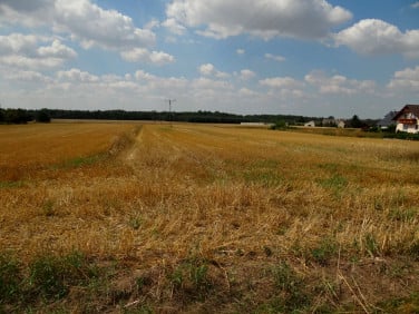 Działka budowlana Ligota Prószkowska sprzedam