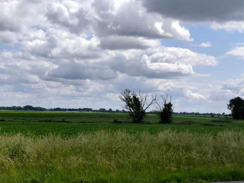 Działka przemysłowa Buk