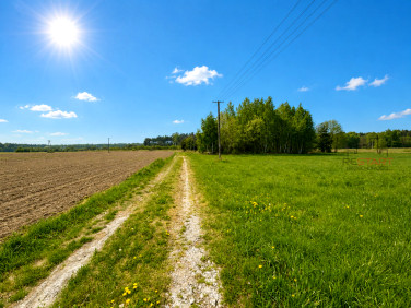 Działka Korabiewice