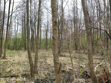 Działka Adamowizna