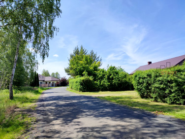 Działka Władków