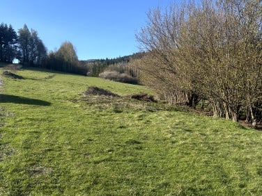 Działka inwestycyjna Kluszkowce