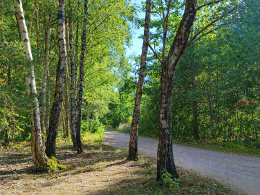 Działka Marków-Świnice