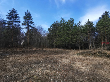 Działka Książenice
