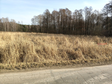 Działka budowlana Adamów-Wieś