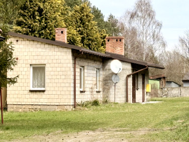 Dom Romanów