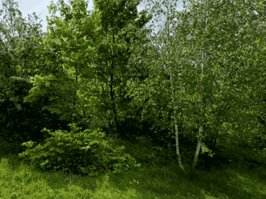 Działka budowlana Mikołów