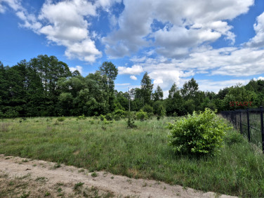 Działka Adamów-Wieś