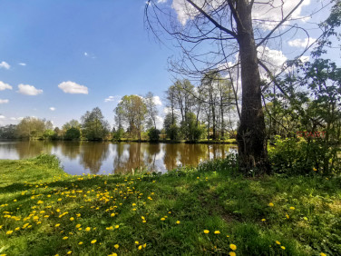Działka Grodzisk Mazowiecki